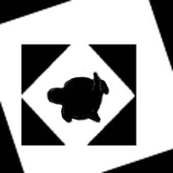 Turtle in box.jpg (14856 bytes)
